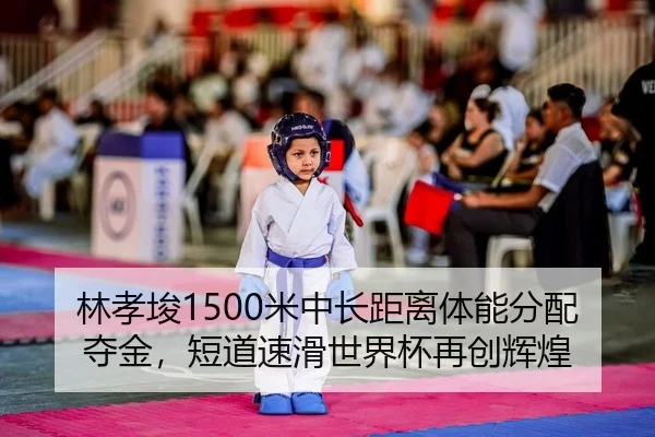 lin-xiao-jun-mi-zhong-chang-ju-li-ti-neng-fen-pei-duo-jin-duan-dao-su-hua-shi-jie-bei-zai-chuang-hui-huang-2-356.jpg